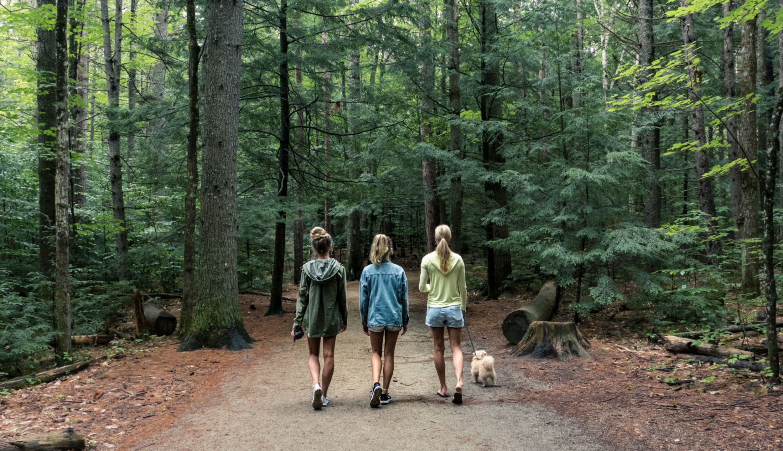 three girls walking through a New Hampshire forest