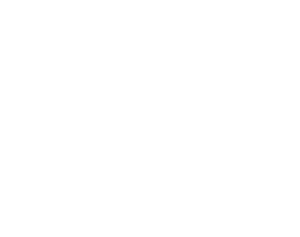 American eagle logo