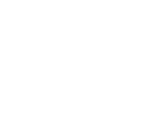 Bird Dog Whiskey logo