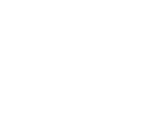Bokeelia Rum logo