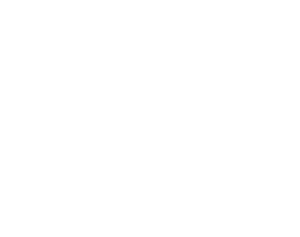 Elisas Creamoncello logo