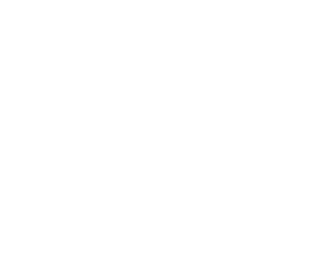 North brookfield logo