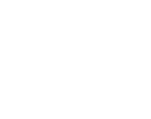 Southern CT State University logo