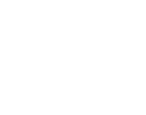 Southern CT Wellness & Healing logo
