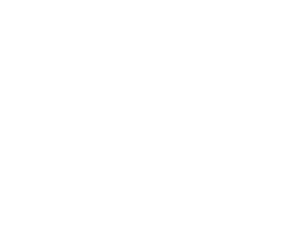 Spice Madness logo