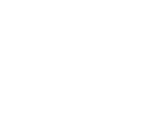 Twenty Grand logo