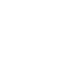 Yankee Spirits logo