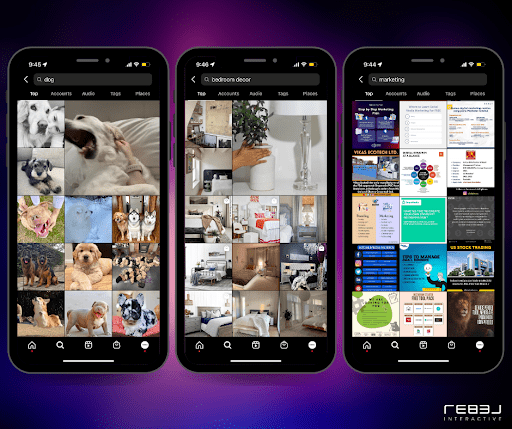 Instagram Discover page, showing off keyword search results for dog, marketing, and bedroom decor.