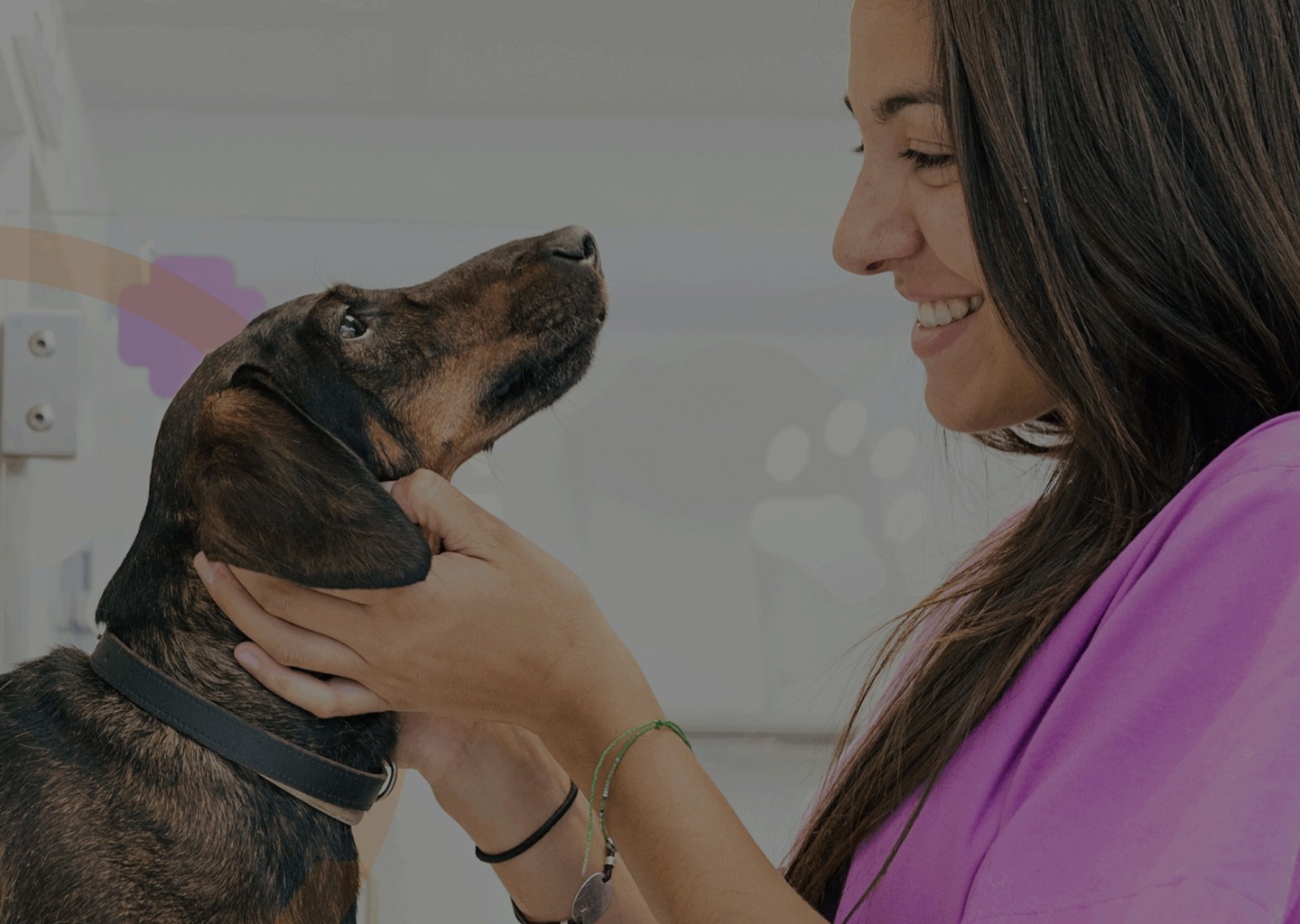 Supporting a Breakthrough in Pet Cancer Treatment Thumbnail