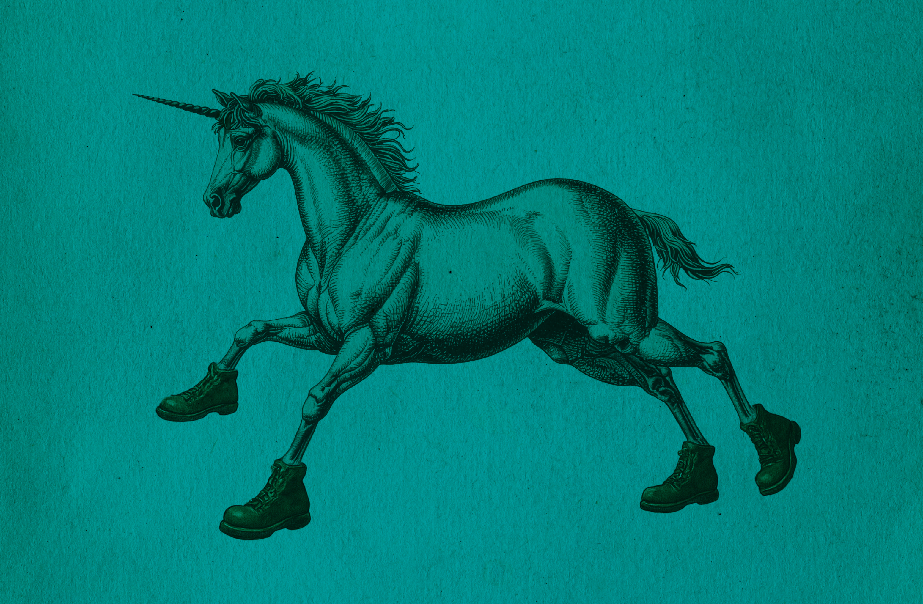 Fulfilling every business’s fantasy.